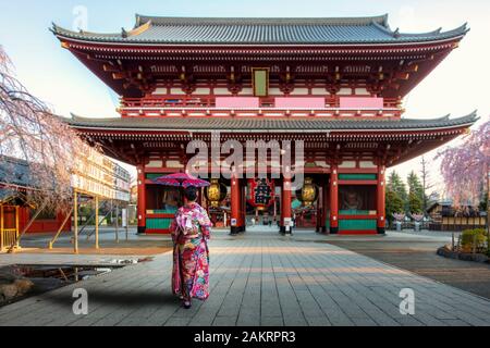 Young asian woman wearing Kimono Japanese tradition dressed sightseeing at Sensoji temple gate with cherry blossom tree during spring season in mornin Stock Photo