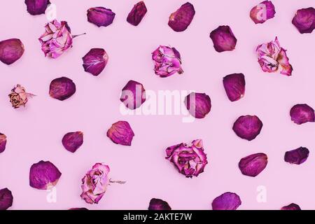 Dry rose petals on the pink background, pattern top view Stock Photo