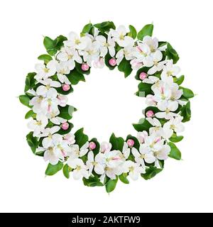 Round wreath with apple tree flowers isolated on white background. Flat lay. Stock Photo