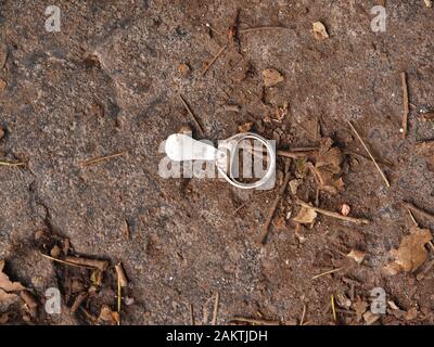 Ring Pull On the Ground Stock Photo