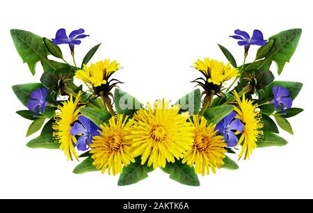 Dandelion and periwinkle flowers arrangement isolated on white Stock Photo