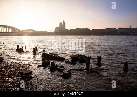 remains of an old wooden landing pier on the banks of the Rhine in the dirstrict Deutz, view to the cathedral, Cologne, Germany.  Reste eines alten Bo Stock Photo