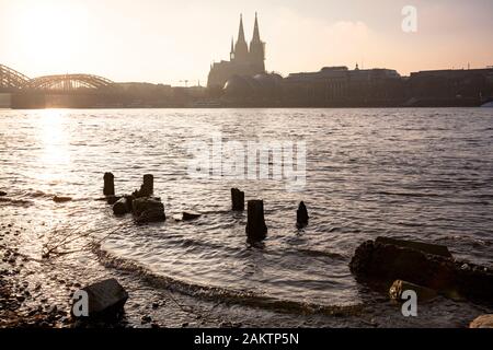 remains of an old wooden landing pier on the banks of the Rhine in the dirstrict Deutz, view to the cathedral, Cologne, Germany.  Reste eines alten Bo Stock Photo