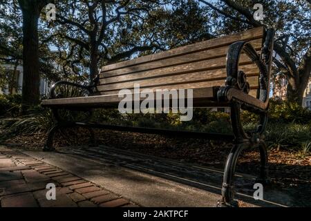 The live oaks is Savannah’s favorite tree, ornamenting streets, parks and cemeteries across the city. The live oaks is Savannah’s favorite tree, ornamenting streets, parks and cemeteries across the city.