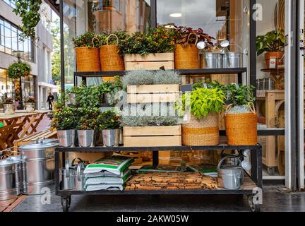 A small flower shop downtown. A stand of blooming flowers in pots, garden plants, watering cans and garden soil. Building background. Stock Photo