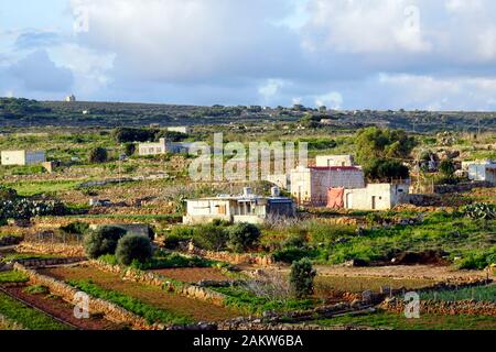 typische Agrarlandschaft mit Kleinfeldwirtschaft zwischen Kalkstein- Trockenmauern, Marfa Ridge, Mellieha, Malta Stock Photo