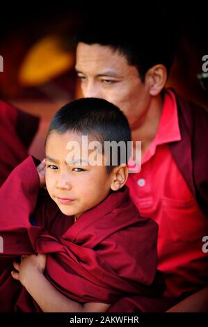 Young Buddhist monk. Most Tibetan families send at least one child to a monastery to learn about their own culture, language and religion Stock Photo