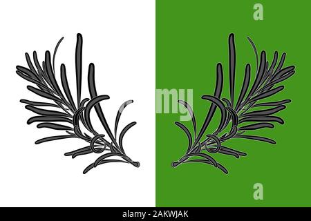 Rosemary leaves black silhouette isolated on white and green background. Rosemary flat icon, sign, symbol, emblem or logo. Herb and spice plant.Vector Stock Vector