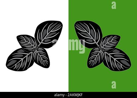 Basil leaves black silhouette isolated on white and green background. Basil leaves flat icon, sign, symbol. Herb and spice plant for cooking ingredien Stock Vector
