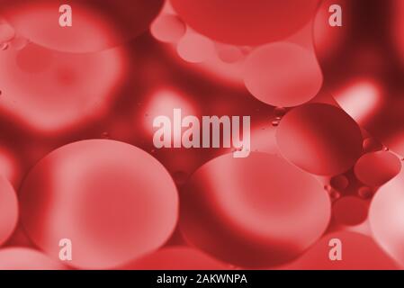 Close-up of translucent red bubbles floating in liquid, creating a bold and modern abstract background Stock Photo
