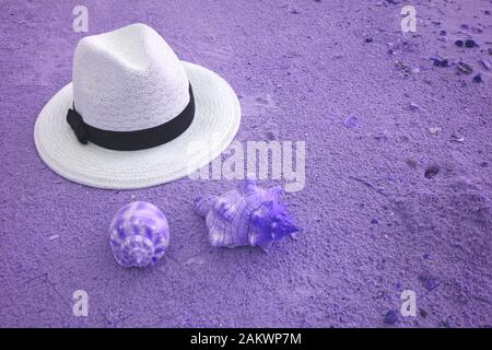 Pop art surreal white straw hat on the sand beach with seashells in purple color Stock Photo