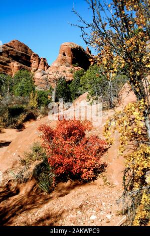 Red, orange and yellow sandstone cliffs in the Golden Gate Highlands ...