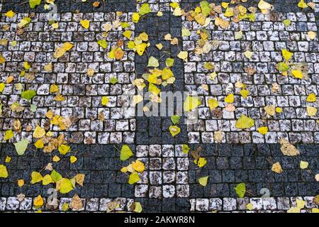 road from paving stones in an autumn park with fallen leaves Stock Photo