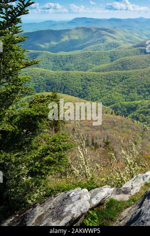 Beautiful and majestic green Appalachian mountains layered vista on Blue Ridge Parkway framed by clouds, rocks, and a single pine tree. Stock Photo