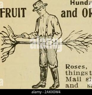 Gleanings in bee culture . offer special inducements. Ideal climate, water plentiful, quick transportation to tmarkets. Illustrated booklets free. J. A. PRIDE, Gen. Ind. Agt,, SEABOARD AIR LINE RAILWAY. Suite 376, NORFOLK. VA. Hundreds of Carloads of and ORNAMENTAL TREES Evergreens. Shrubs,Hardy Roses, etc. 1200acres, 60 In HardyRoses, none bettergrown. 47 greenhousesof Palms, Ferns, Be=gonias, EverbloomingRoses, Geraniums, and otherthings too numerous to mention.Mall size postpaid, safe arrivaland satisfaction guaranteed.Immense stock of SUPERBCANNAS, the queen of bedding plants. Acres ofHard Stock Photo