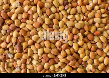 Close view of horse gram seeds which is used in cooking. Stock Photo