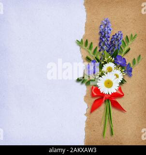 Wild flowers bouquet on white and blue background Stock Photo
