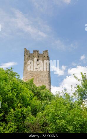 View of a ruined castle tower at Dvigrad (or Due Castelli), an abandoned medieval town in Draga Valley, central Istria, Croatia Stock Photo