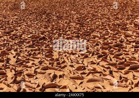 cracked dry sand in the sahara desert, africa Stock Photo