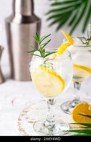 Gin tonic cocktail with lemon Stock Photo