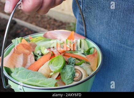 Food waste, such as vegetable and fruit peelings, taken into a home vegetable garden for making into compost. UK Stock Photo