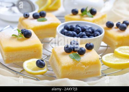close-up of Lemon curd shortbread bars with cheesecake layer topped with powdered sugar, fresh blueberries and mint leaves on a metal wire rack on a w Stock Photo
