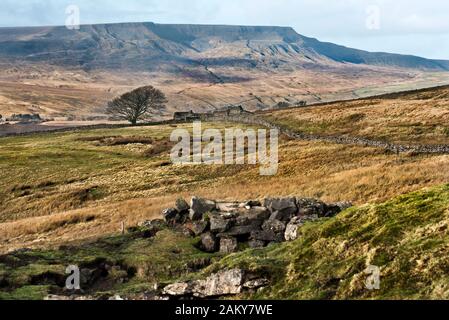 Ruins of High Dyke farmstead, former drover's inn, adjoining Lady Anne's Way, Garsdale, Yorkshire Dales National Park, UK. Wild Boar Fell on horizon. Stock Photo