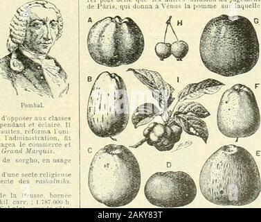 Larousse universel en 2 volumes; nouveau dictionnaire encyclopédique publié sous la direction de Claude Augé . posâmes : A. calville blanche ; B. rouleau rouge : C, calvilleSaint Sauveur; D, courl |iendu plat E, lîrand Uexandre;F, calville rouge dhivei ;G, reinelle du Canada ; II. «le Chine; I, api i étaient tracés cef l la ?? belle). Pop- Aux pommes, très soigné, très b tette nur pommes. Cest comme des pommes, ny comptez pas. Ai us hist. : La pomme de Newton. Te rhute dune pomme, dans son jardin de Wo&lt; qui aurait conduit le savant à la découverte de POM Lion universelle. On rappelle la pon Stock Photo