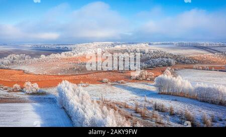 Snowy meadow with forest strips and empty agrarian fields. Winter landscape. Stock Photo