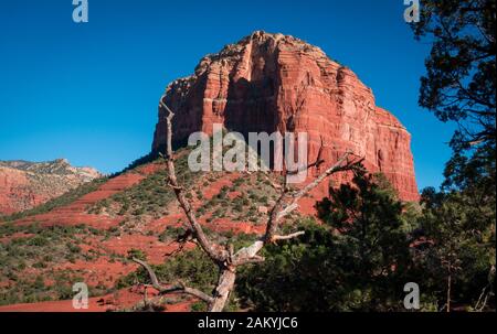 Landscape shot of peaceful red Bell Rock Butte behind dead tree in Sedona Arizona. No people. Afternoon daylight with contrast of red sandstone and bl Stock Photo