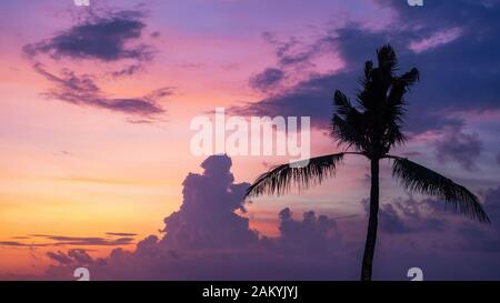 Tropical vacation holiday background, silhouette of palm tree over beautiful sunset in Bali, Indonesia.
