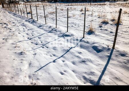 Long shadows cast by barbed wire fence & wooden fence posts; snow covered pasture; ranch in Central Colorado; USA Stock Photo