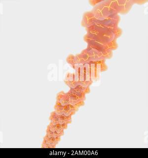 DNA strand, illustration Stock Photo