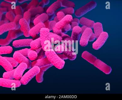 Enterobacteriaceae bacteria, illustration Stock Photo - Alamy