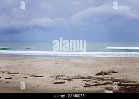 Waves Rolling in on a Sandy Beach With Driftwood on the Sand in San Gregorio State Beach and Lagoon Park, California, OUtside of Half Moon Bay Stock Photo