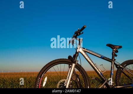 Trek bicycle on a roof rack with corn field in the background