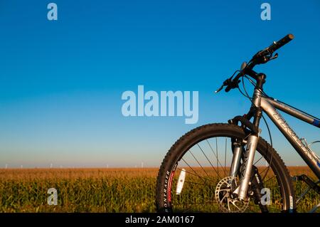 Trek bicycle on a roof rack with corn field in the background