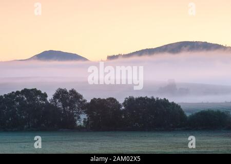 Trees in the fields in the foothills of Velka Fatra mountain range, Slovakia.