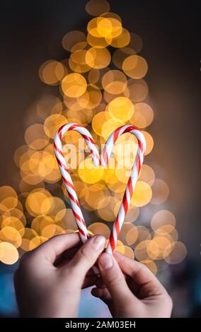 Hand holding two candy canes in heart shape with lights in background. Stock Photo