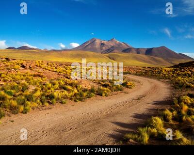 Lanscape at Atacama Desert with Miniques Volcano in the distance, Atacama Desert, Chile Stock Photo