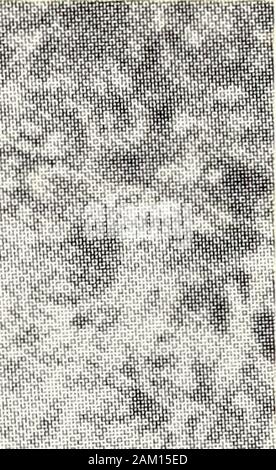 Report of the Board of Directors and Superintendent of the State Hospital, Raleigh, N.C . ??IfWiff m. ..?^-M