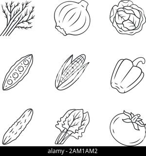 Vegetables linear icons set. Cabbage, beet, corn, tomato, pepper. Vitamin and diet. Healthy nutrition. Thin line contour symbols. Isolated vector outl Stock Vector