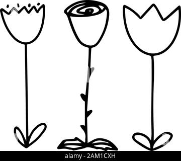 Set of three cute flowers two tulips and a rose. Vector doodle outline illustration isolated on white background. Desing for kinds print, coloring boo Stock Vector