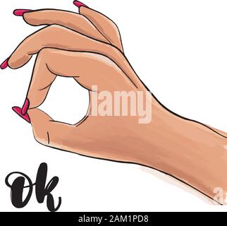 Female hand showing ok, on a white background.  Stock Vector