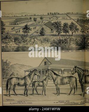 The illustrated atlas and history of Yolo County, Cal., containing a history of California from 1513 to 1850, a history of Yolo County from 1825 to 1880, with statistics ..portraits of well-known citizens, and the official county map . i i. Stock Photo