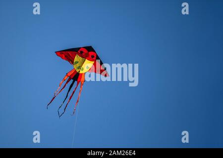 Colorful red kite flying on the blue sky. Stock Photo