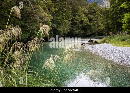 Clinton River in Milford Track, Fiordland National Park, New Zealand Stock Photo