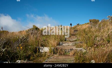 Hiking Pouakai Circuit with steps leading up to the Pouakai hut Stock Photo