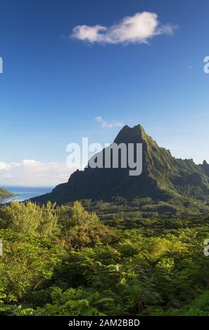 Mount Rotui, Mo'orea, Society Islands, French Polynesia Stock Photo