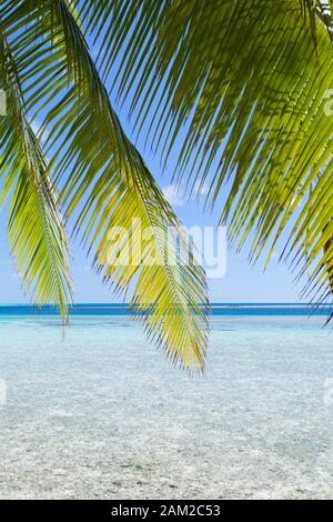 Lagoon at Tetamanu, Fakarava, Tuamotu Islands, French Polynesia